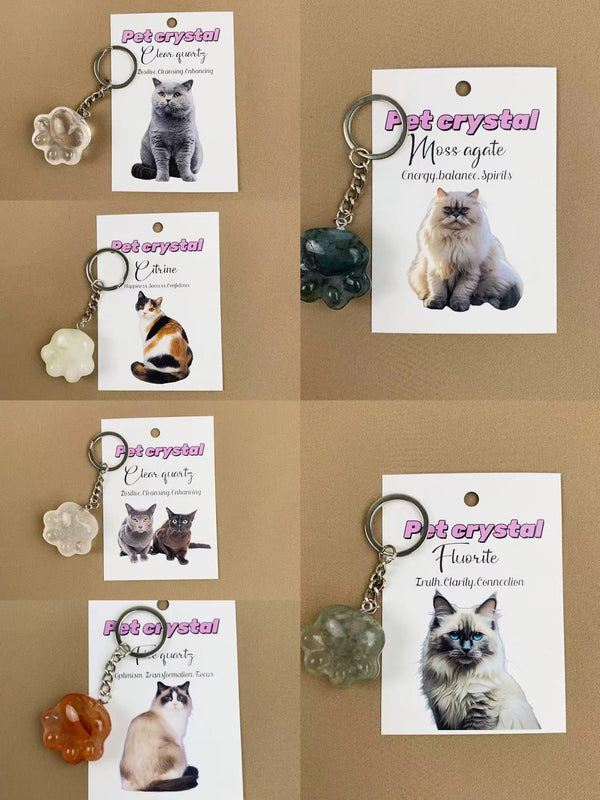 Crystal Souvenirs for Pet Lovers: Moss Agate, Fluorite, and Amethyst for Your Furry Friend